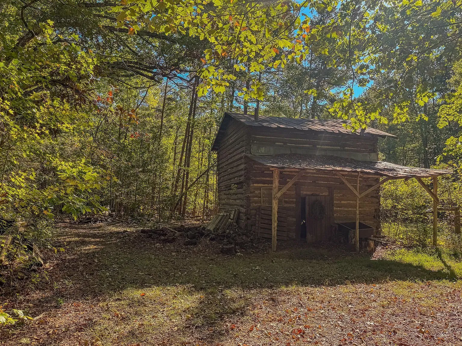 A weathered wooden outbuilding with an open lean-to roof among the trees
