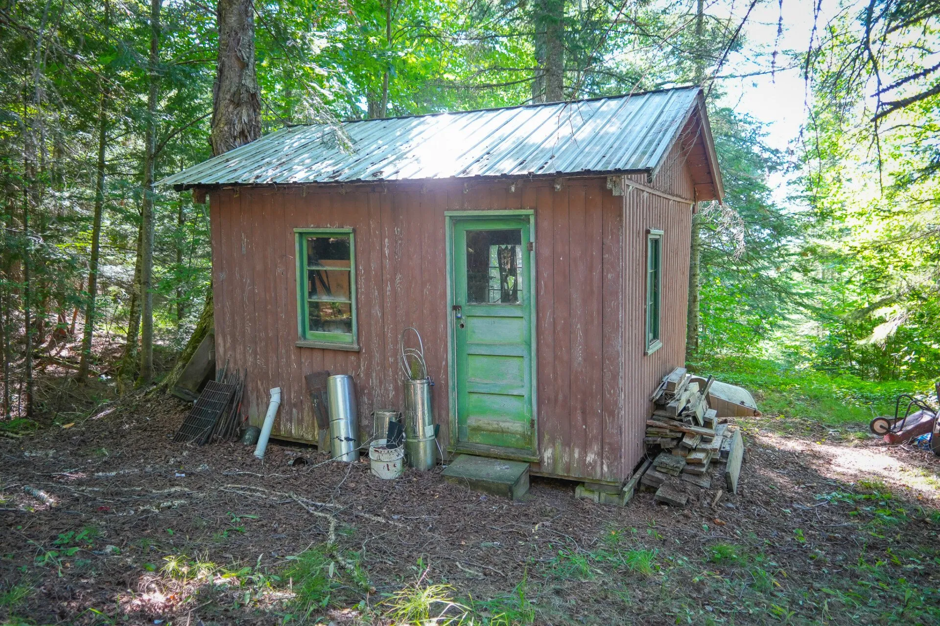 A small board-sided outbuilding with a green door under the pines