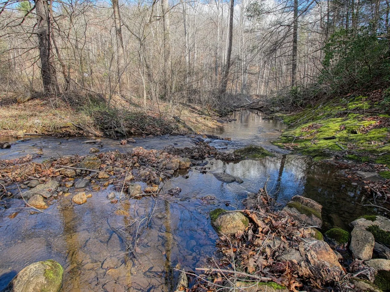 Poplar Creek running shallow over rocks under bare winter trees