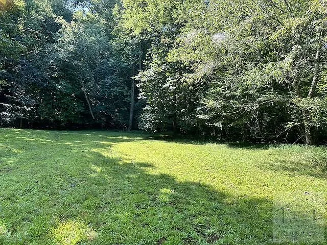 The open pasture between the treelines