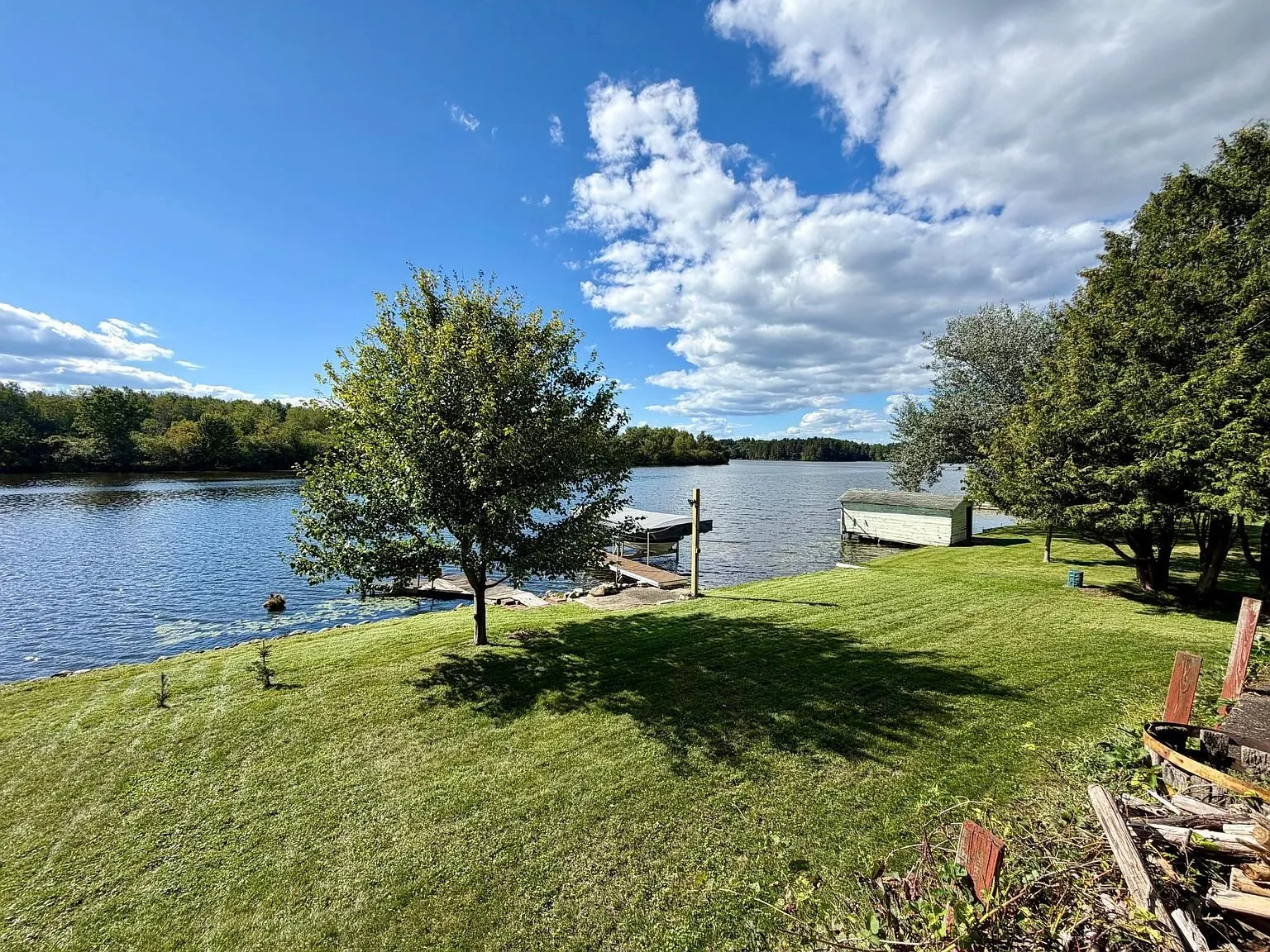 The lawn and the tree at the shore with the lake beyond