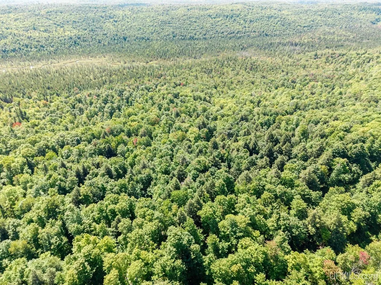 Wide aerial of the forested country around the parcel