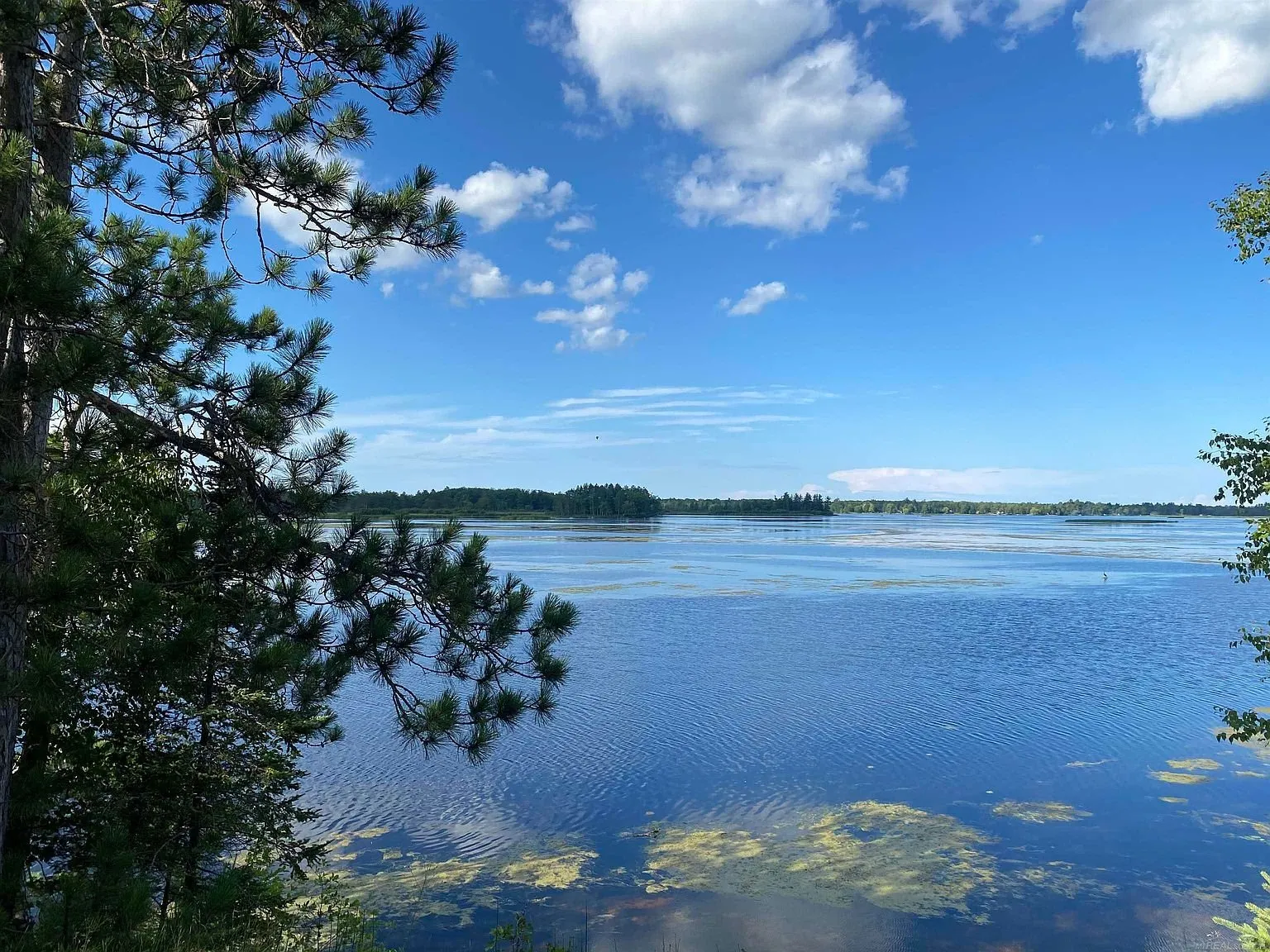 The lake under a blue sky with the far shore