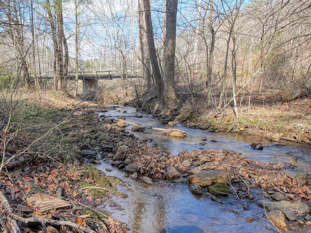 The creek with a small footbridge crossing it upstream