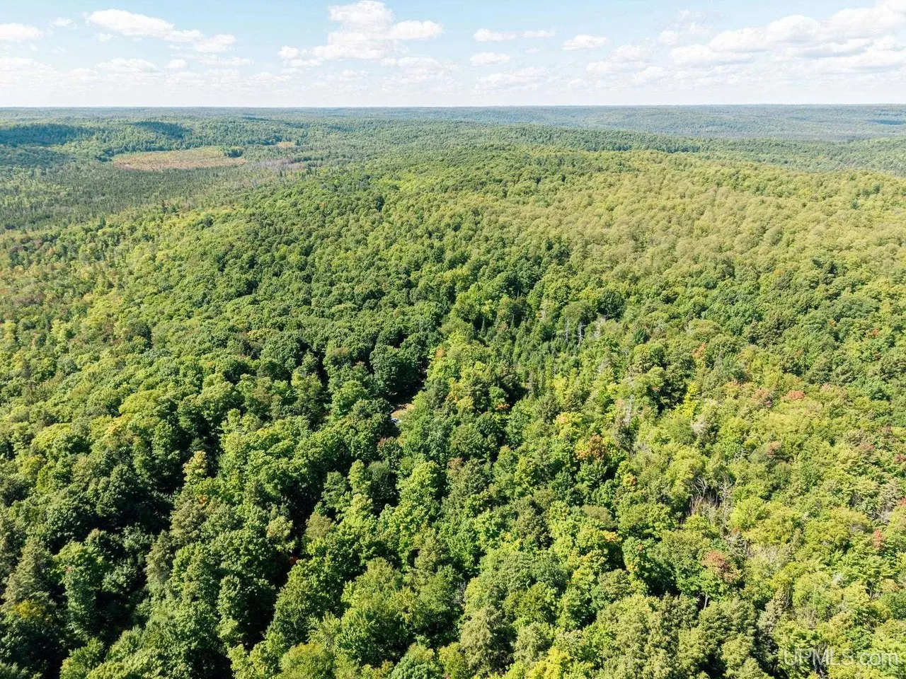 Aerial looking across the timber toward distant ridges