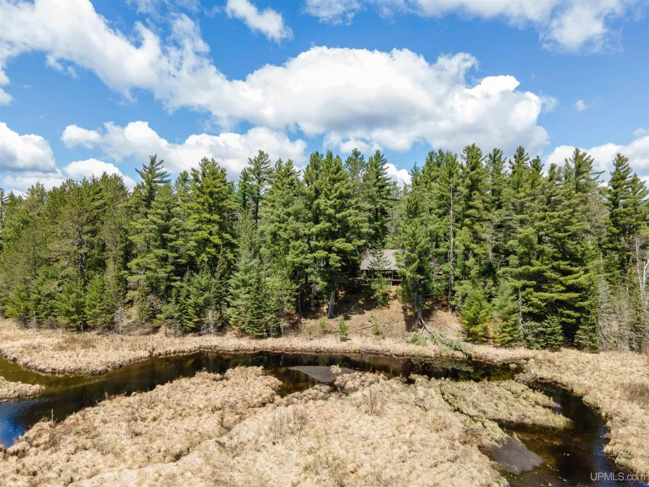 The wetland and river channel below the property