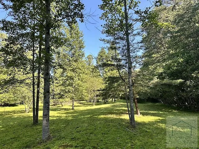 Trees along the edge of the pasture