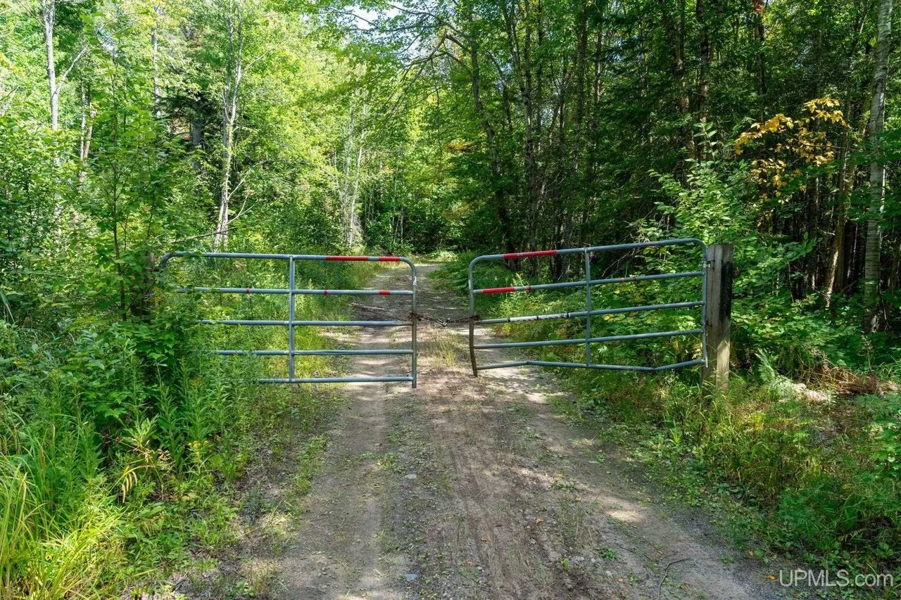 The gated two-track running into the property through the trees