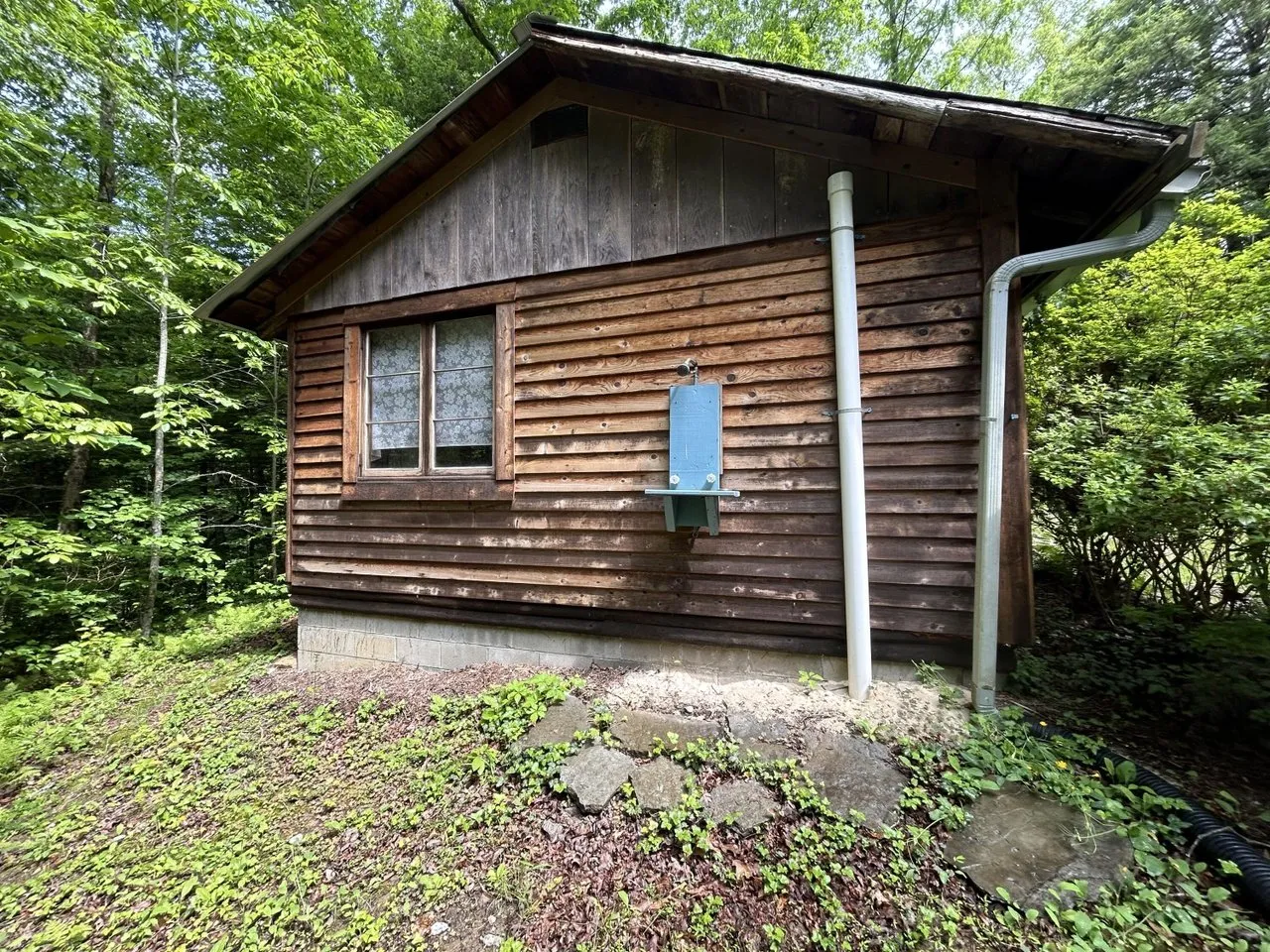 A small wood-sided cabin with a metal roof and a single window, set among the trees