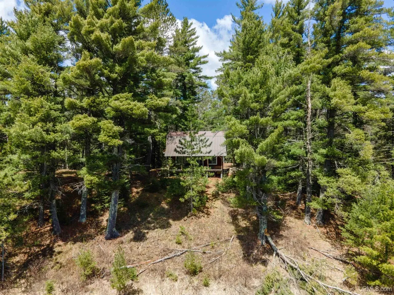 Pines along the slope with the camp roof visible through them