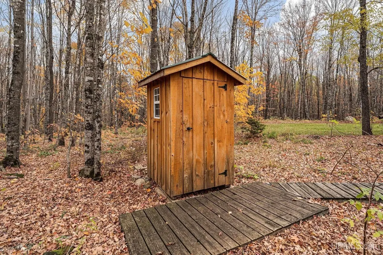 The wooden outhouse standing on its plank walkway among the birches