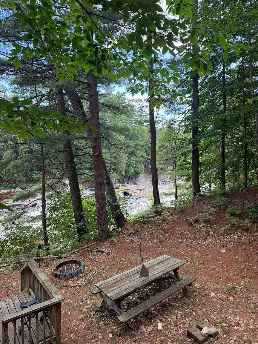 The picnic table by the fire ring under the pines