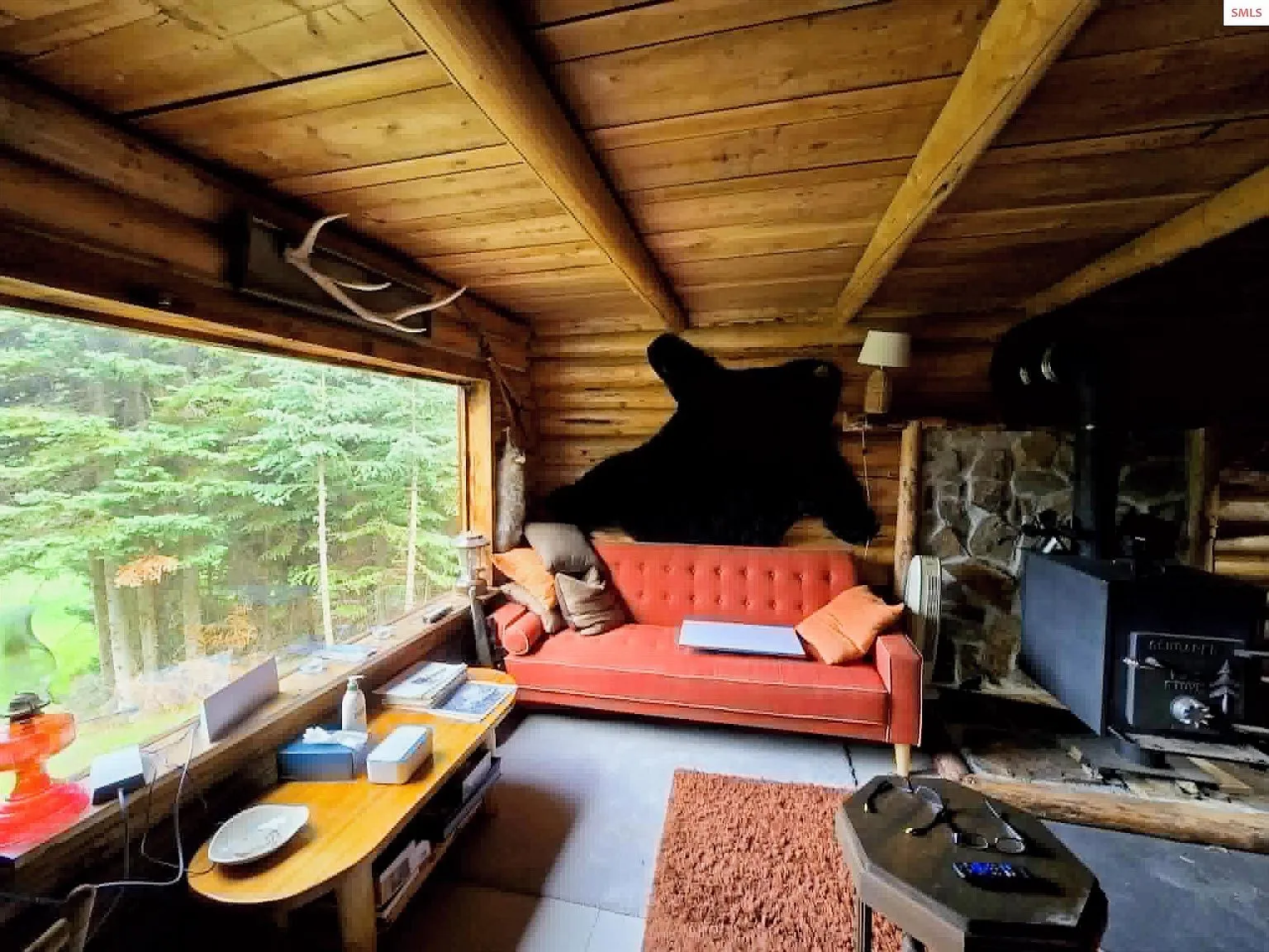 The living room with an orange sofa, bear hide rug and a wood stove in the corner