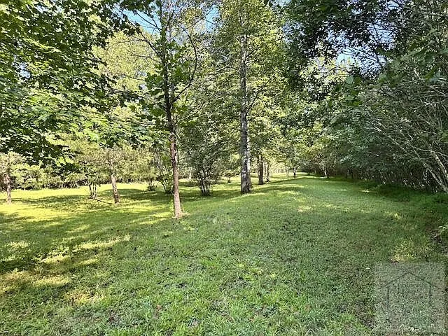 The pasture running back toward the woods