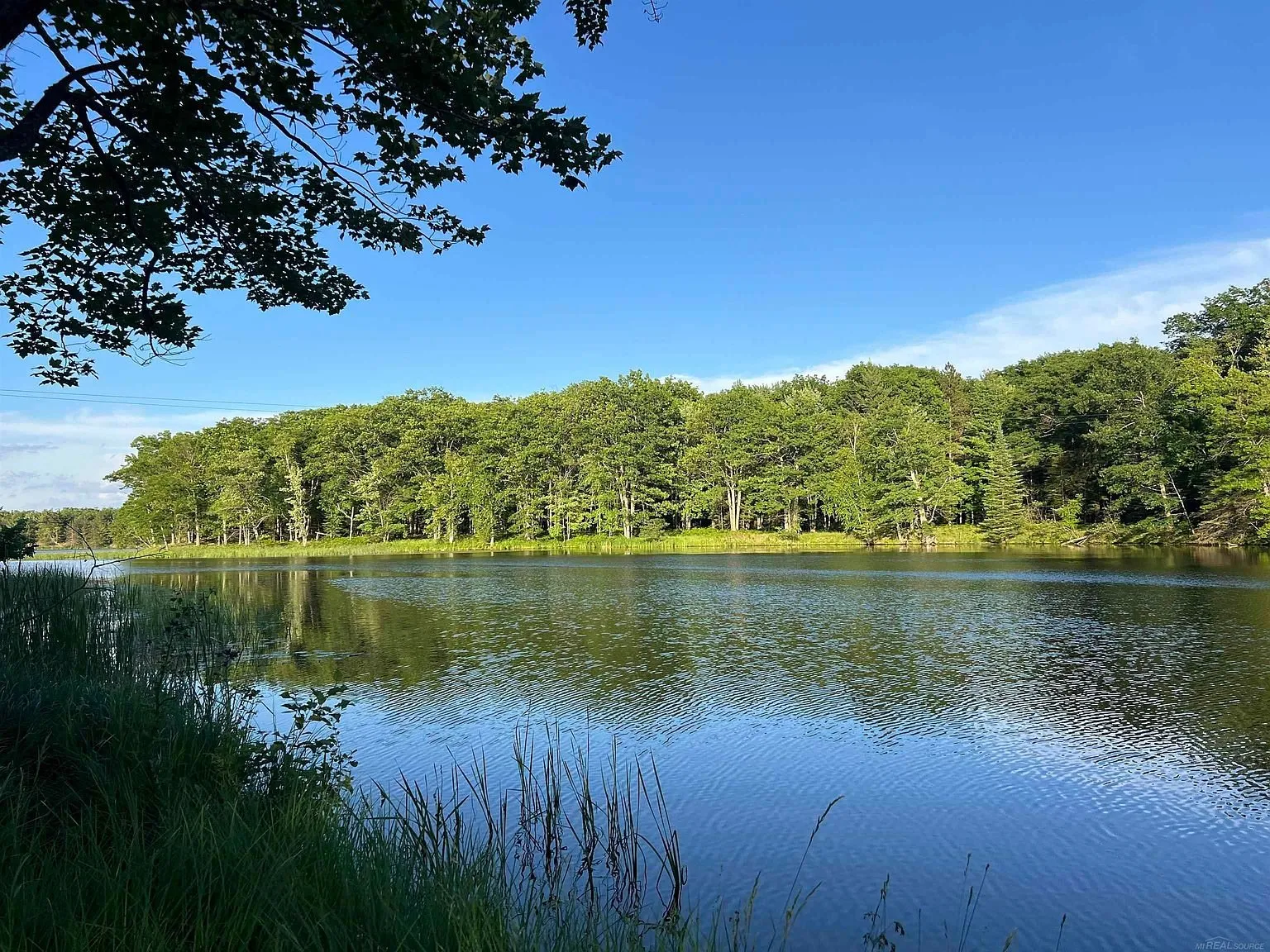 The bay from the bank with the trees on the far side