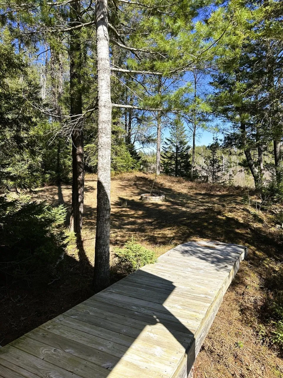 The boardwalk running down through the trees toward the water
