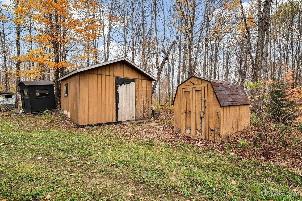 Two wooden sheds side by side at the edge of the clearing