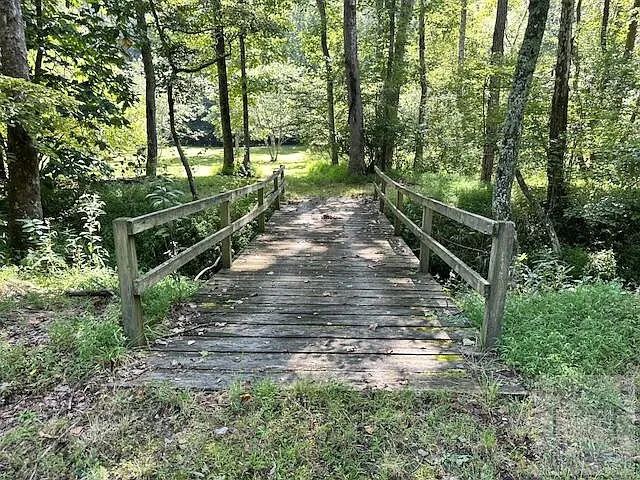 The wooden footbridge over the creek