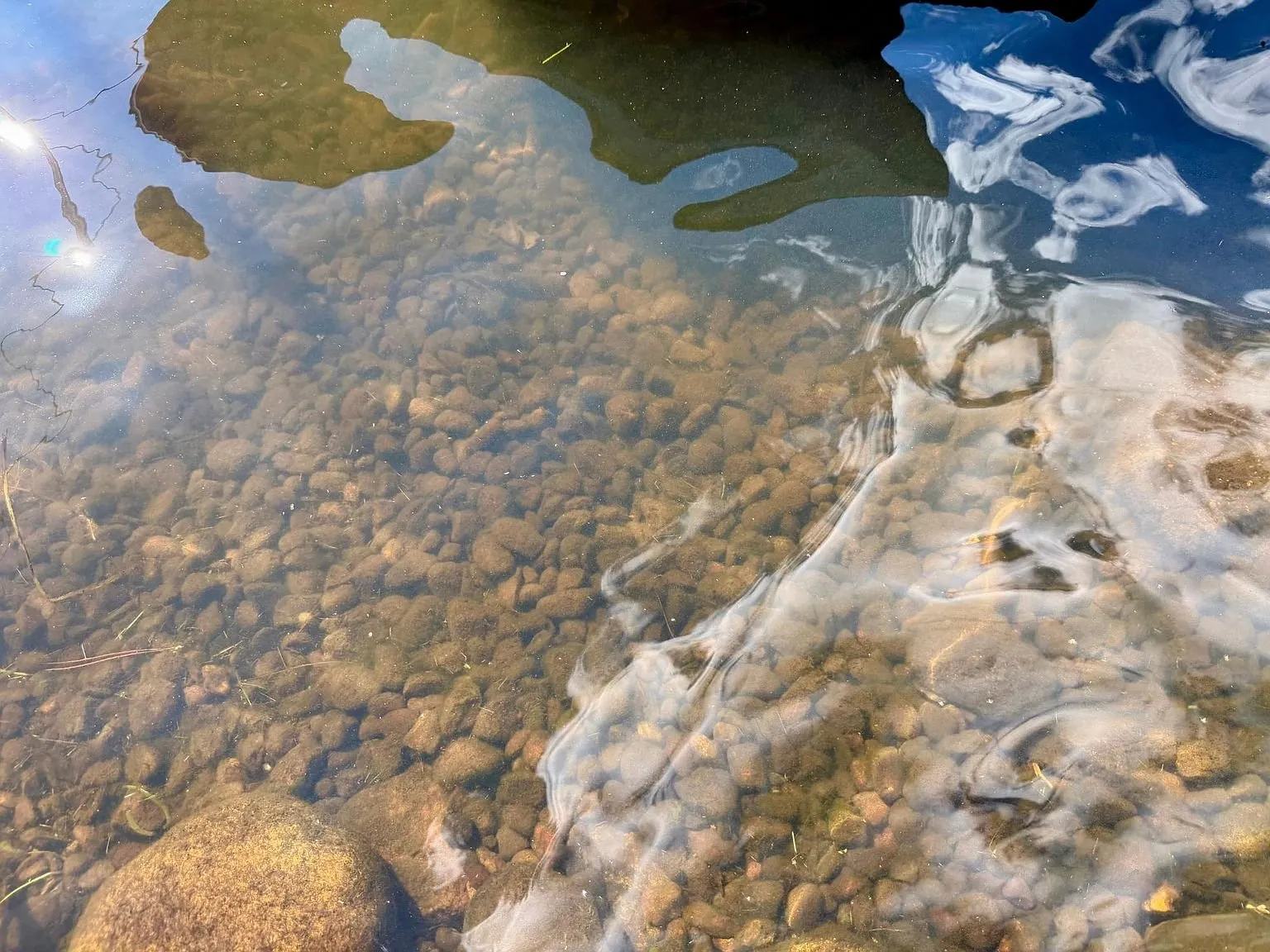 Clear water over stones at the shore
