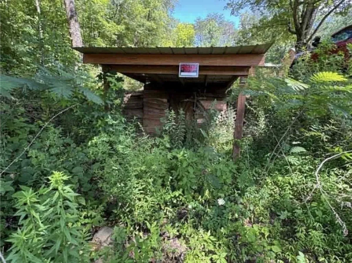 A narrow covered structure attached to the cabin, surrounded by brush