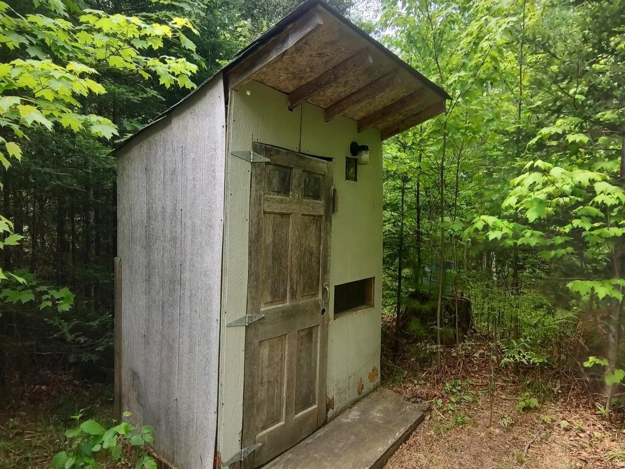 The outhouse standing among the trees