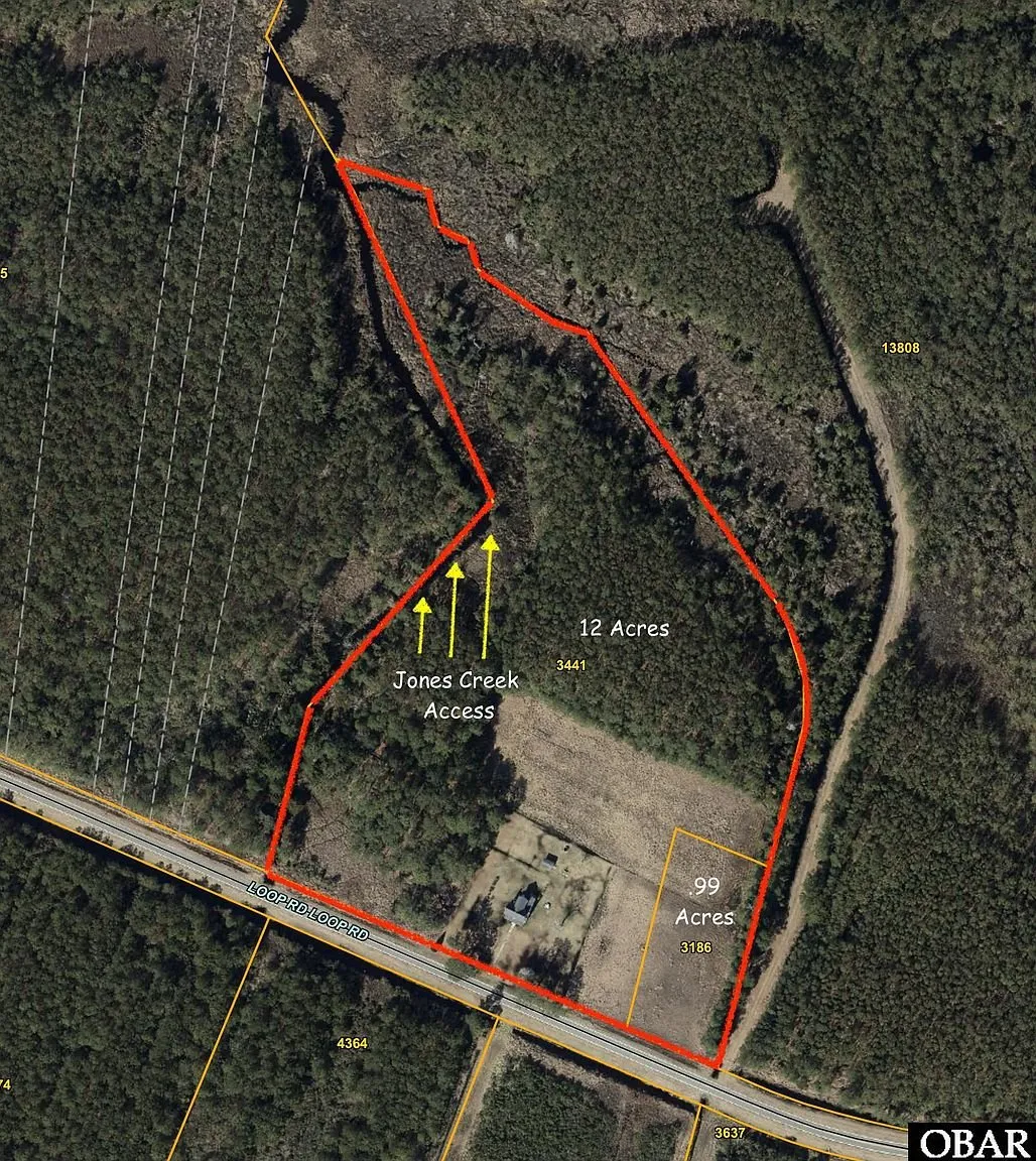 Plat with the two parcels outlined in red, labeled 12 acres and 0.99 acres, and arrows marked Jones Creek access at the back