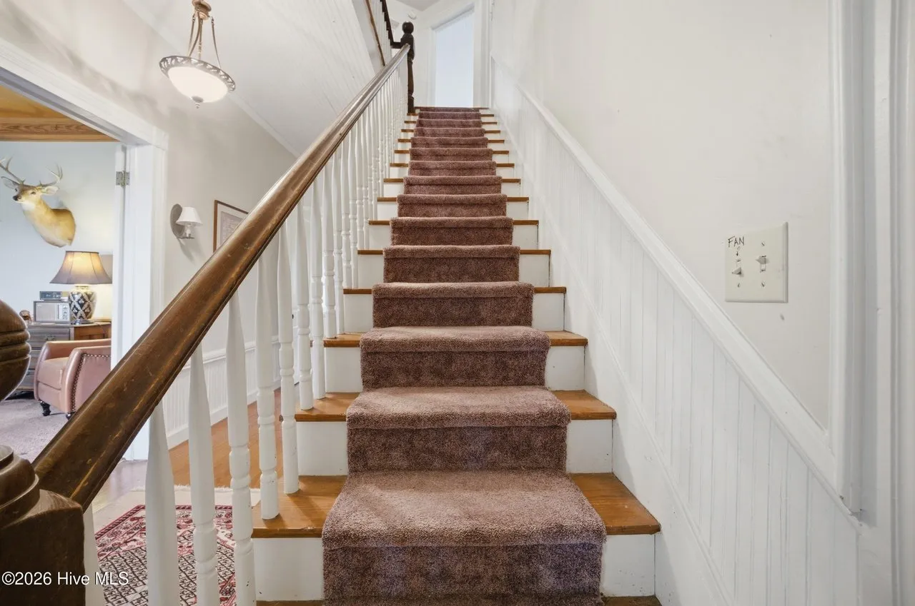 Carpeted stairs to the second floor