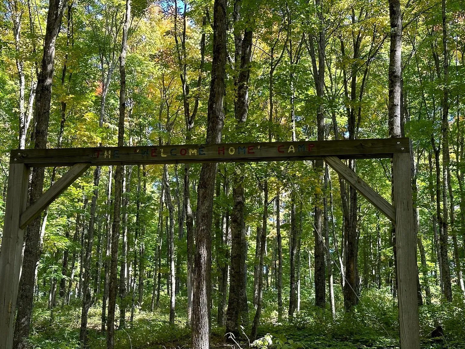 A timber frame standing among the trees on the property