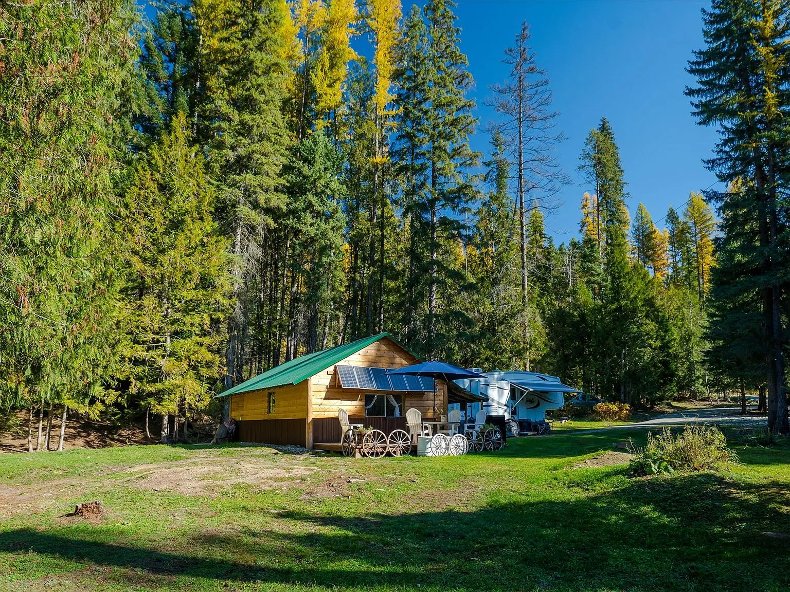 A grassy clearing on the property framed by mature pine and larch trees