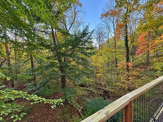A dirt path winding through the wooded lot in fall color
