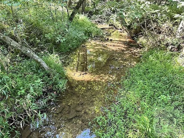 The creek running over rocks under the trees