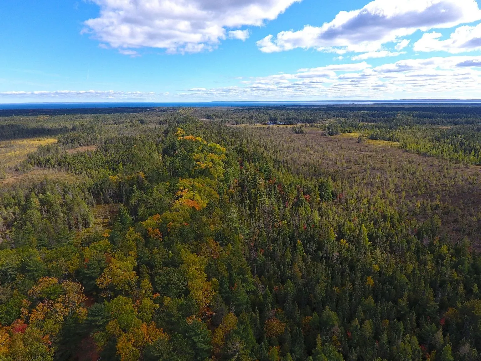 Aerial along the ridge line with forest on both sides