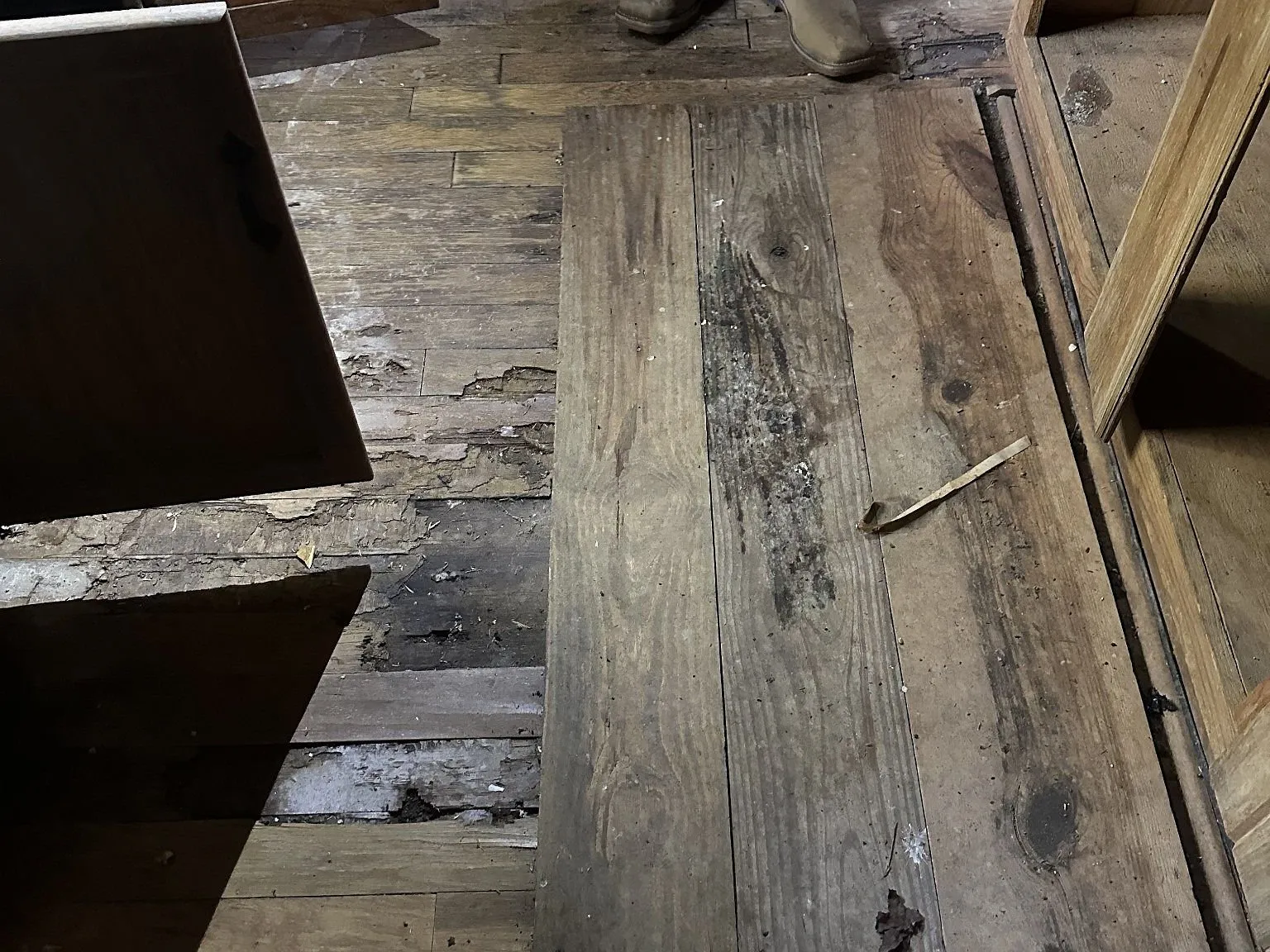 A close view of worn wood flooring and a door frame inside the cabin