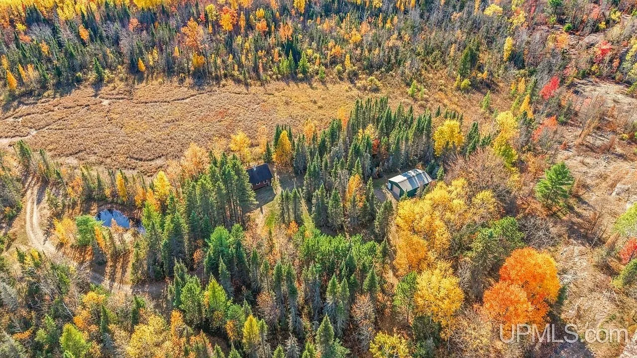 An aerial view of the cabin and garage in a wooded clearing, with a small pond visible nearby