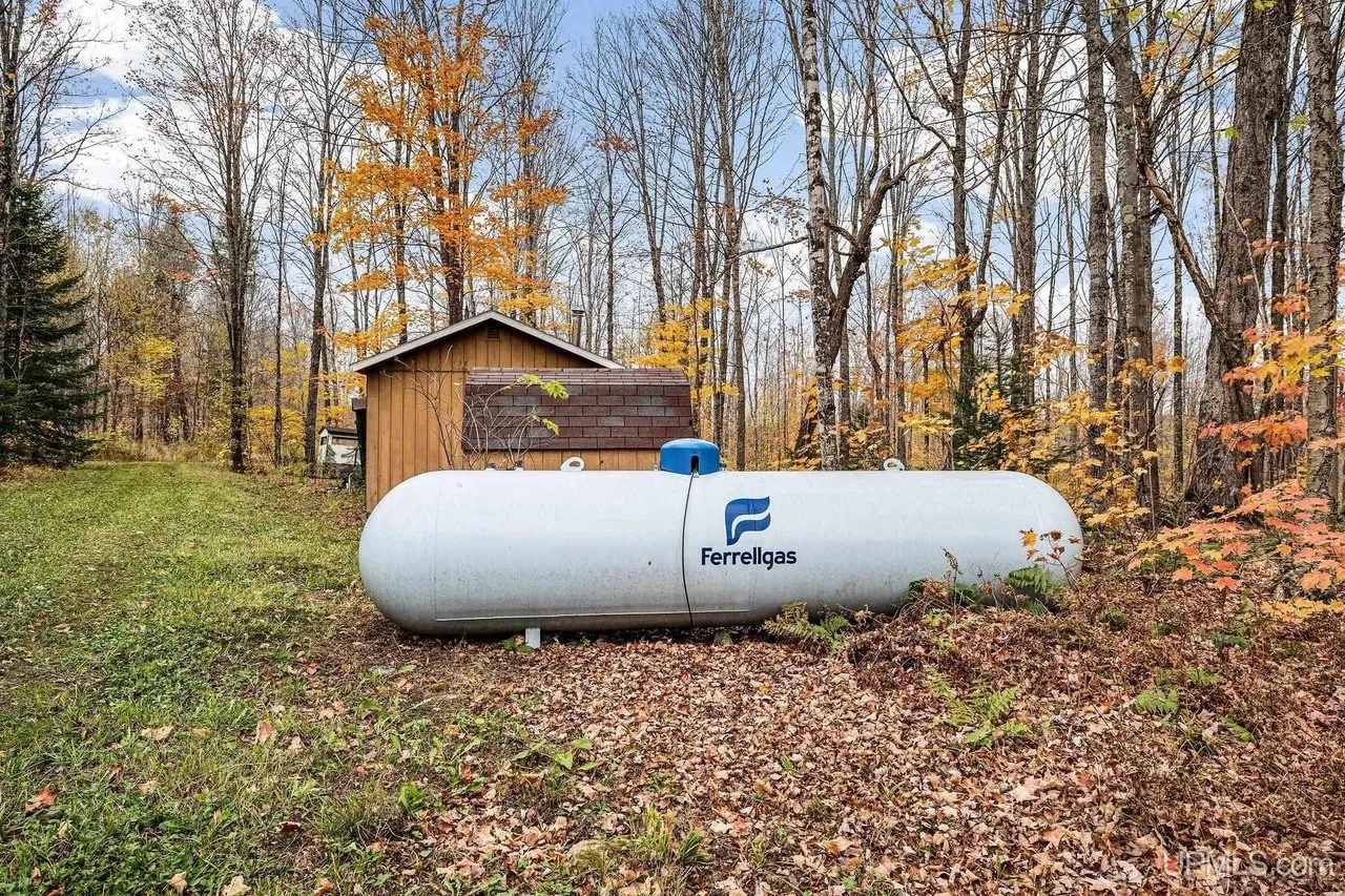 The leased propane tank sitting on the ground in the autumn leaves