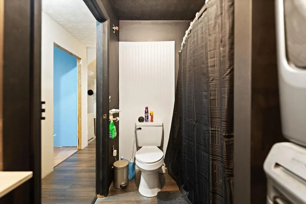 The bathroom: toilet, curtained shower and a narrow door