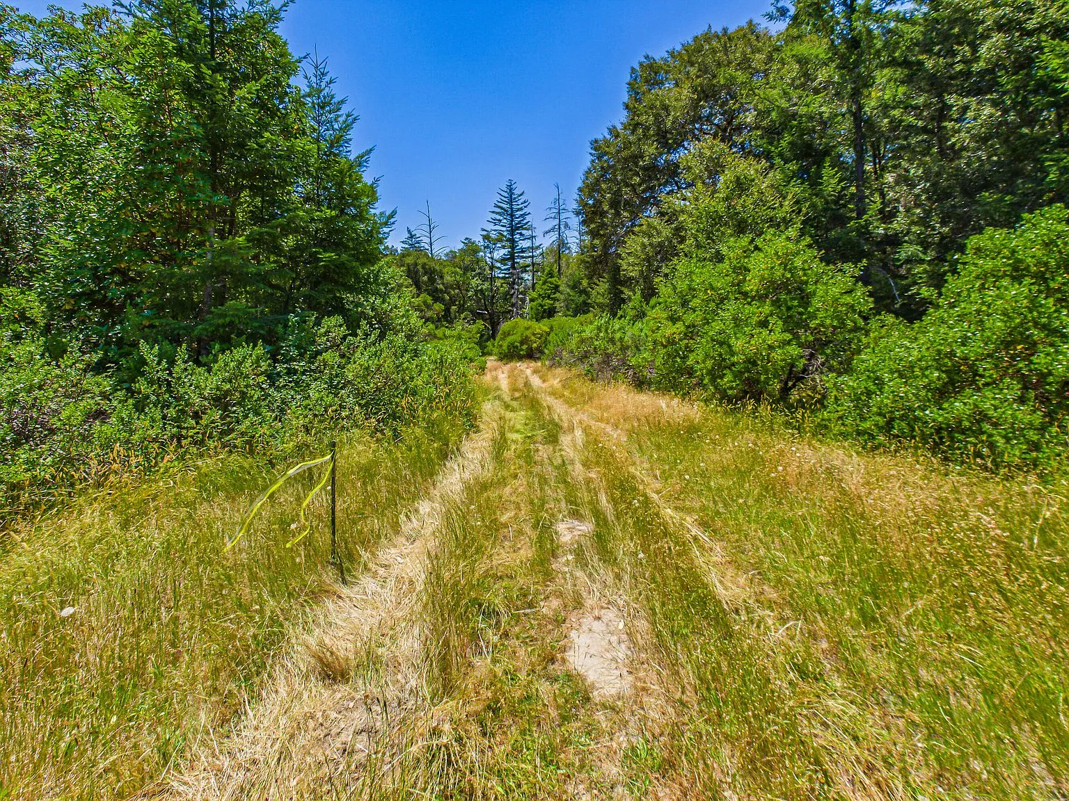 One of the property's storage sheds set among the trees