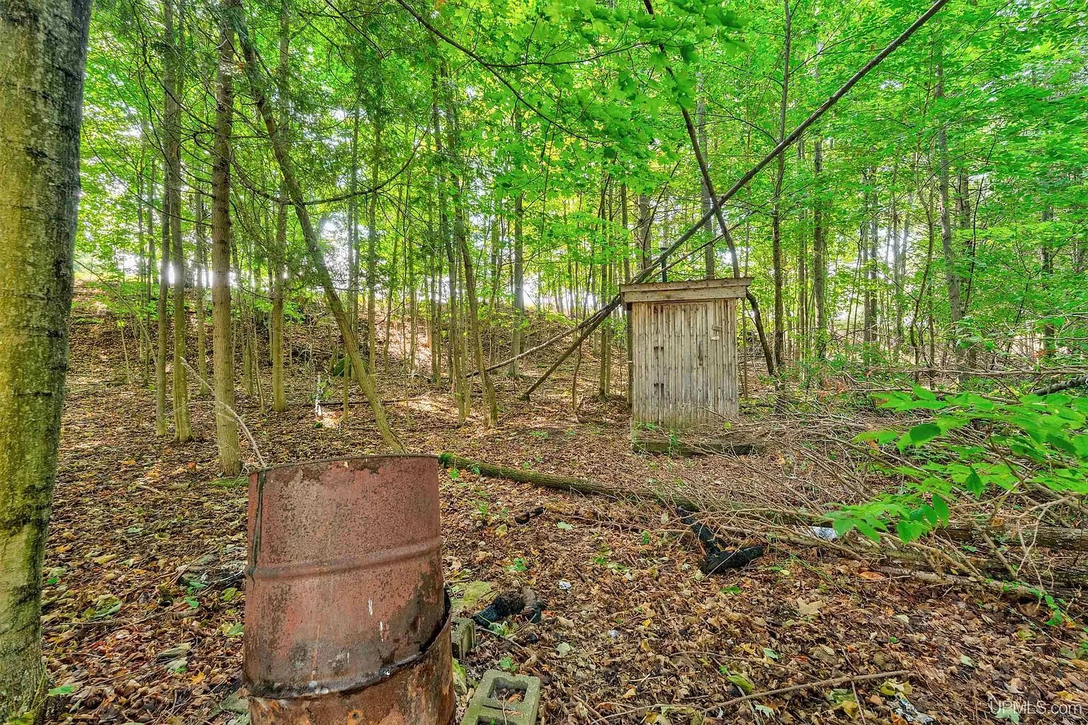 A wooden outhouse in the woods with a rusted burn barrel in front
