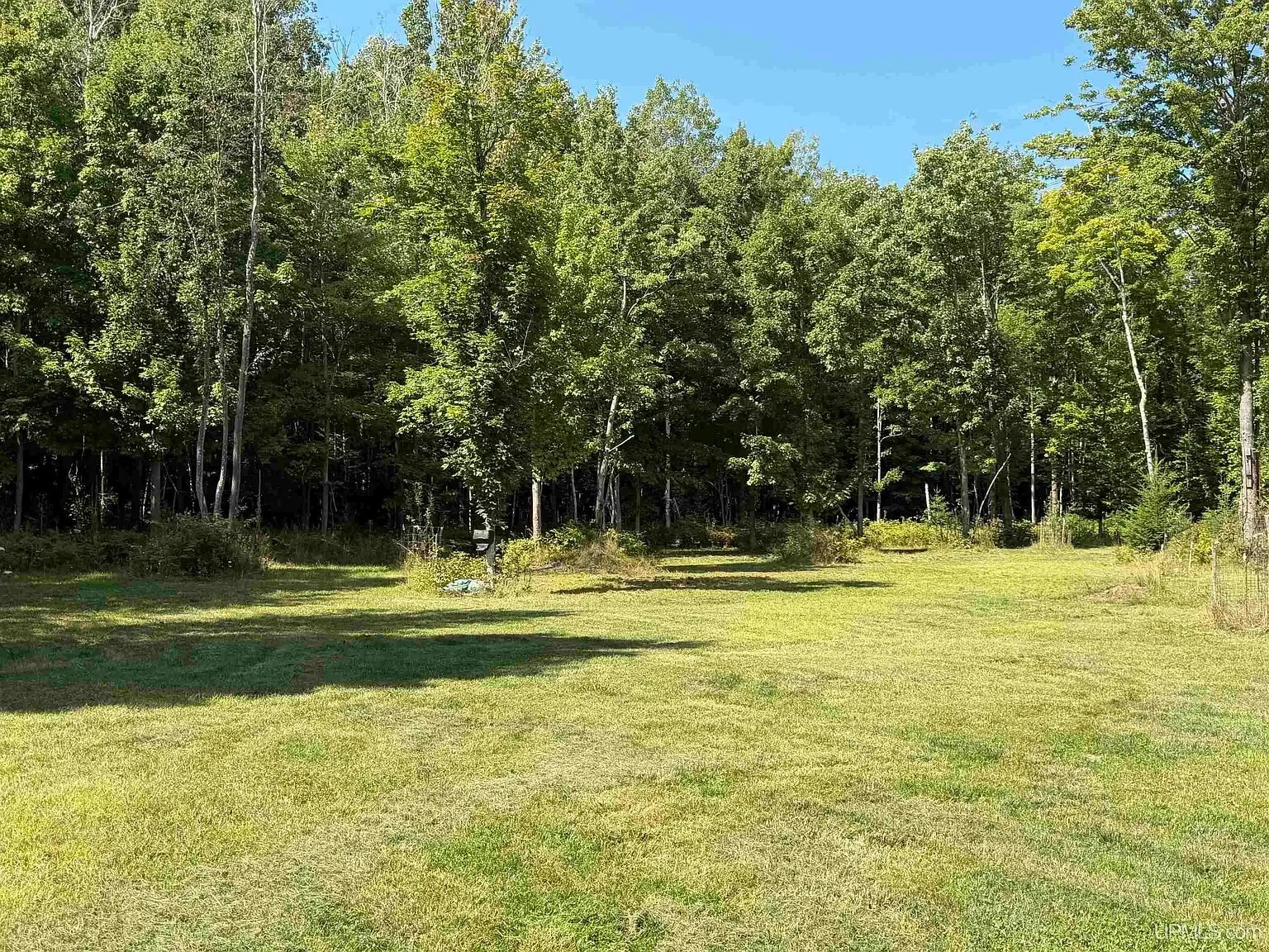 A mowed opening in the hardwoods