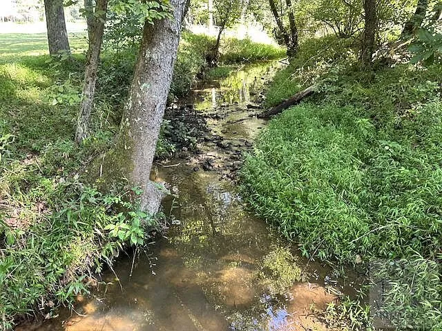 The creek beside the pasture with trees along the bank