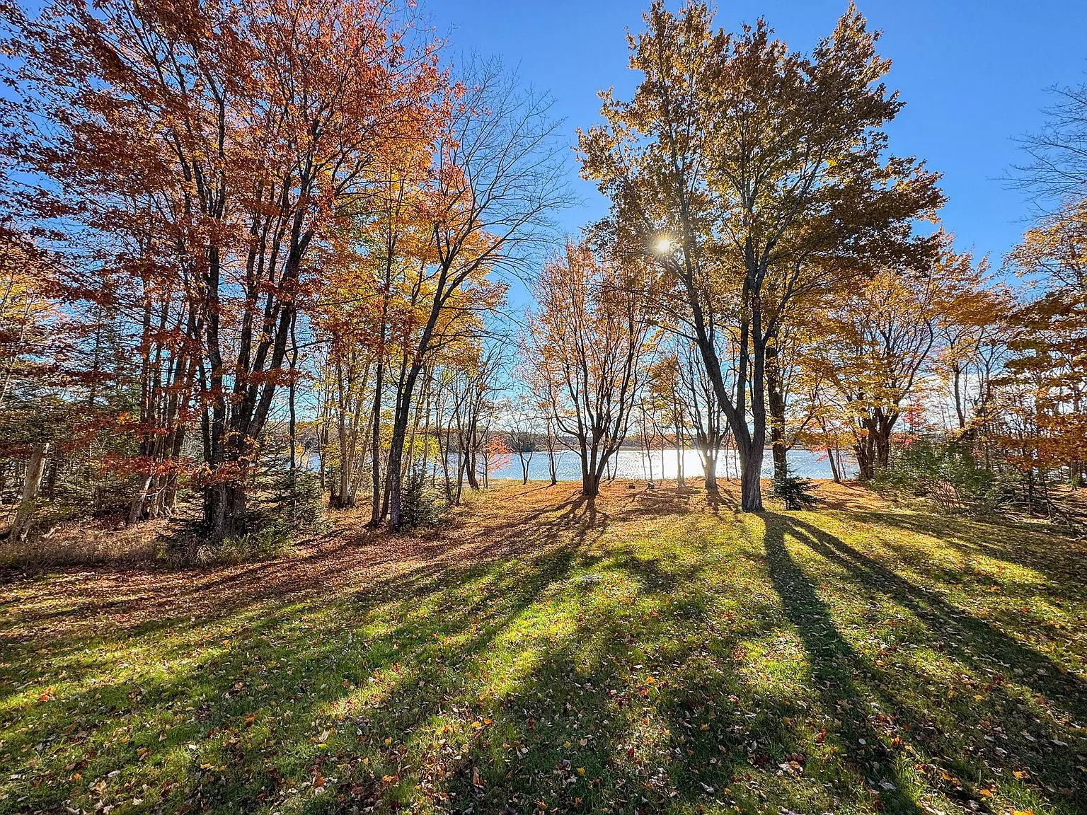 A second view of the lawn and trees in fall color, with the river in the background