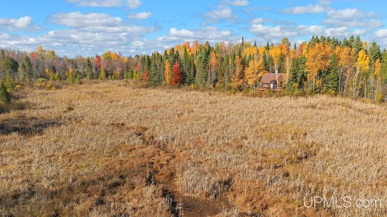 An aerial view of an open meadow bordered by fall-colored trees