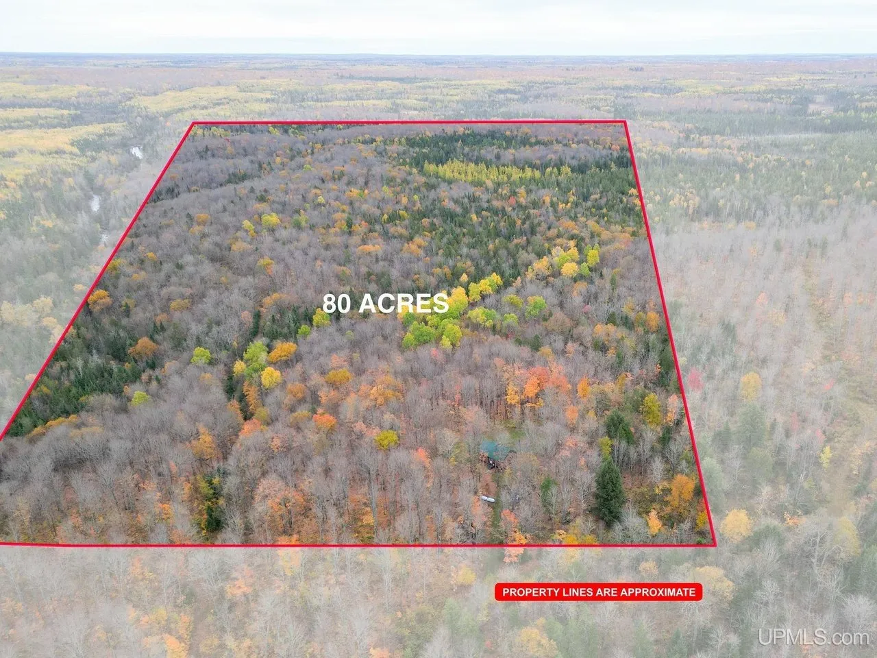 The listing's aerial with the 80-acre parcel outlined in red over the forest