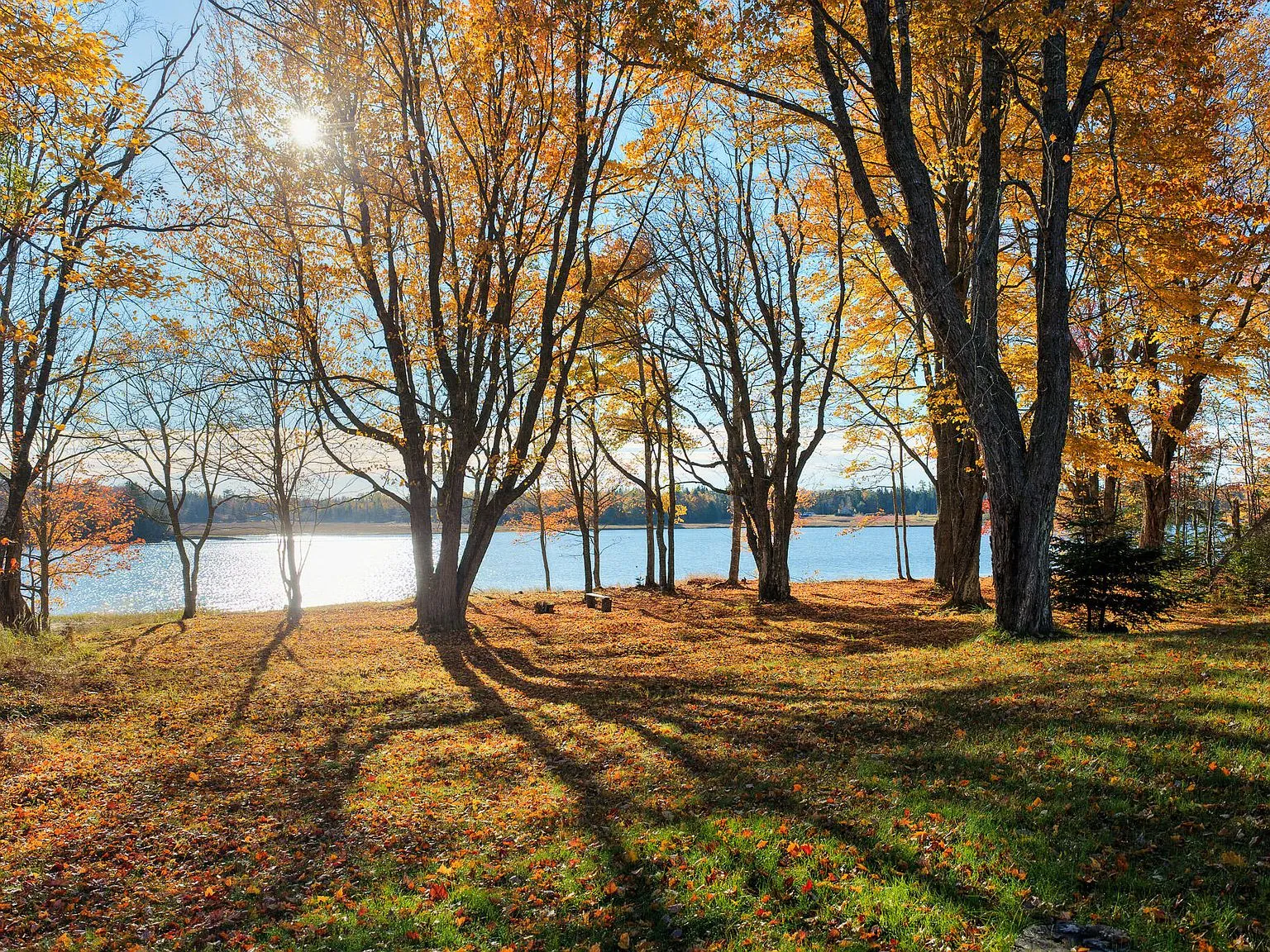 A wide view of the Harrington River bordered by marsh grass and fall foliage