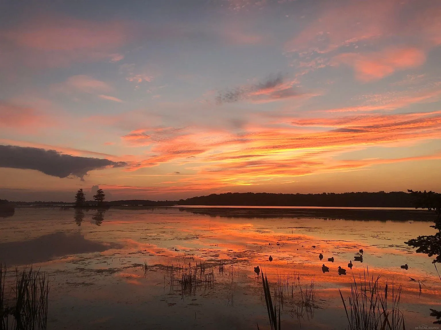 Sunset over the marsh with ducks on the water