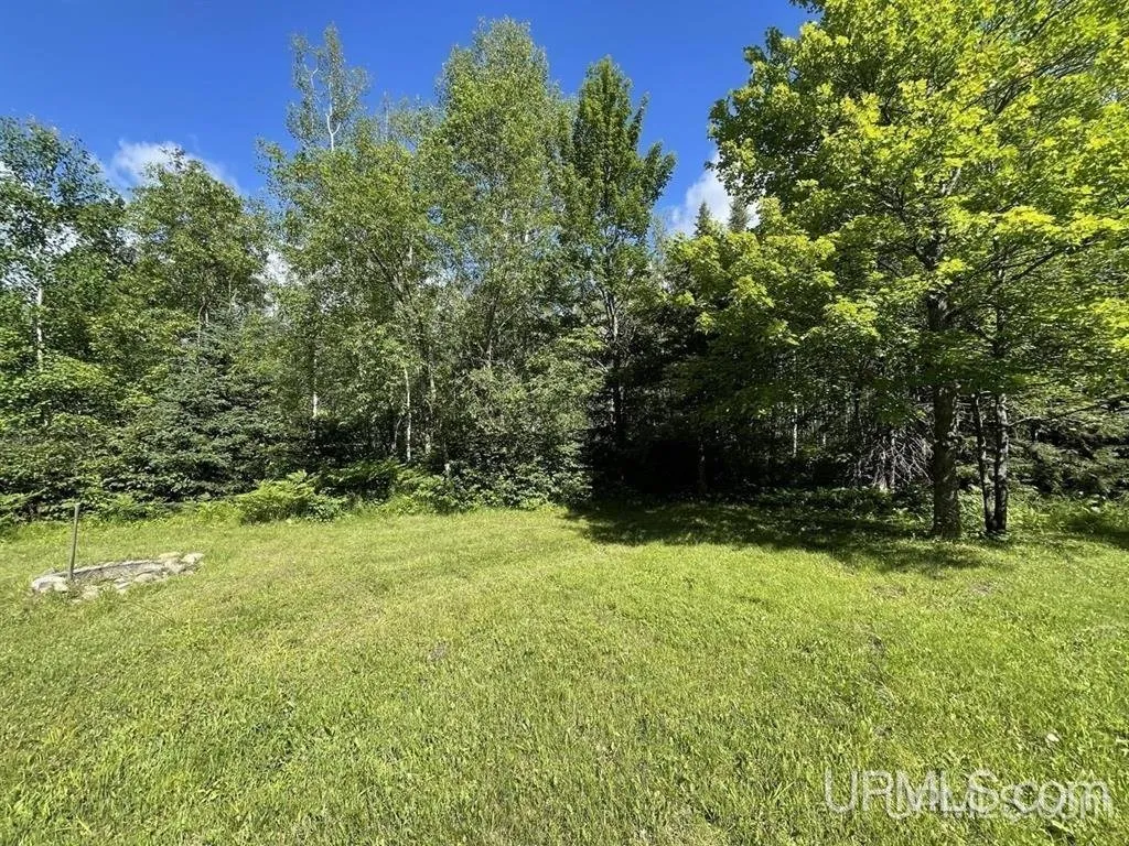 The clearing and the wall of hardwoods beyond it