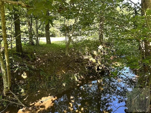 The creek in the shade of the trees