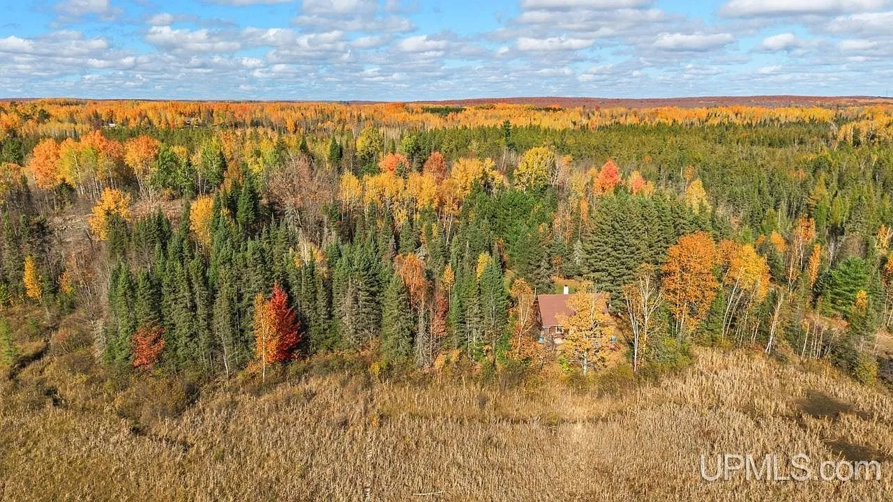 An aerial view of the wooded acreage stretching toward the horizon