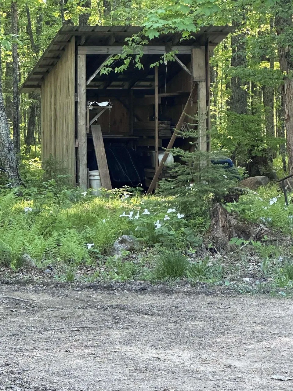 The open-front shed at the edge of the drive