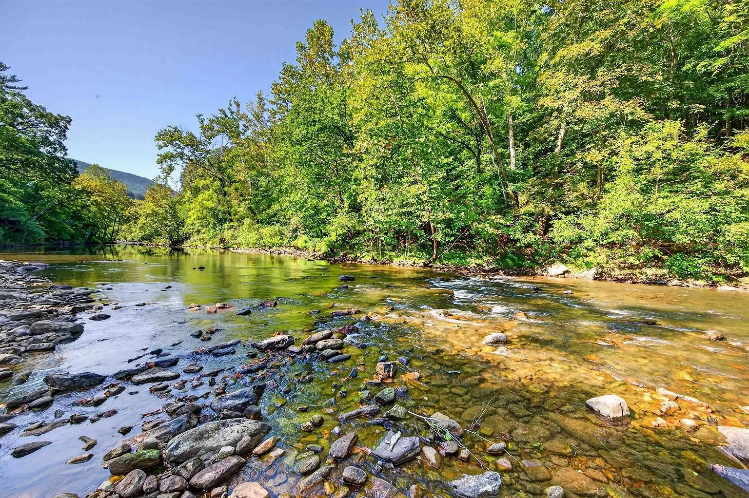 Wolf Creek running over rock below the trees